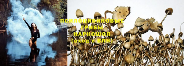 прущие грибы Белоозёрский
