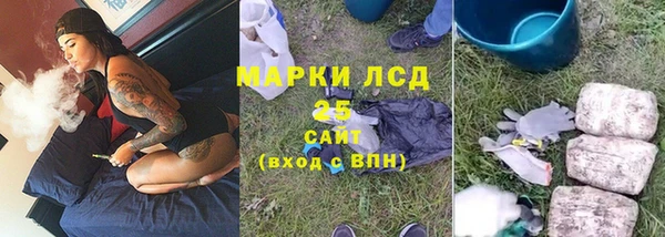 прущие грибы Белоозёрский