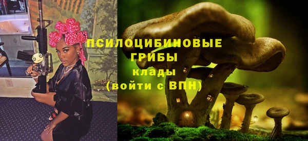 дживик Белокуриха
