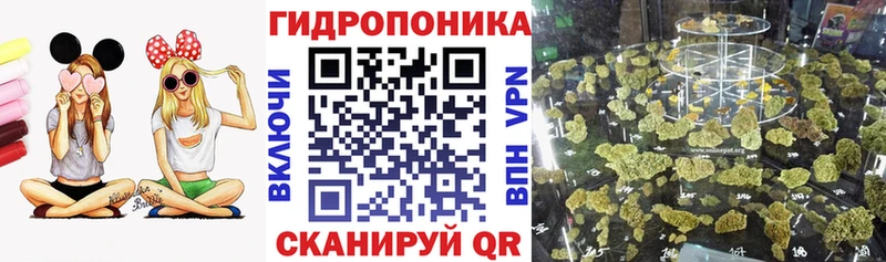 как найти   гидра онион  Бошки Шишки планчик  Выборг 